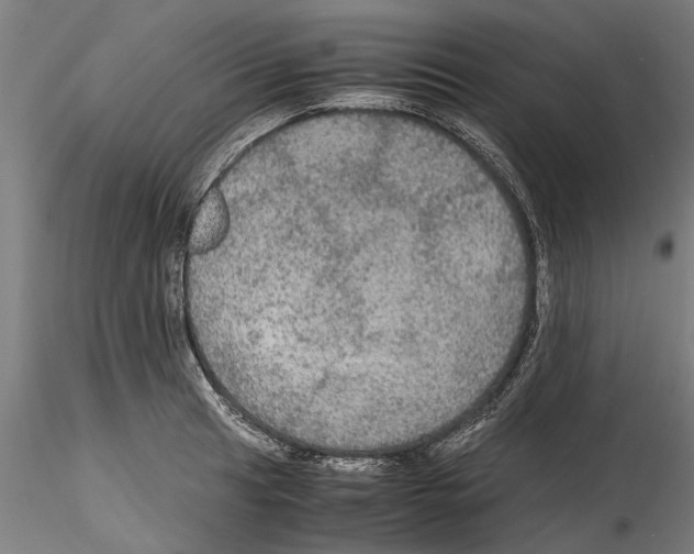 X0000114601041200911301418