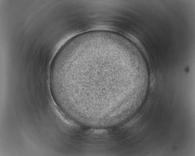 X0000114601043200911301418