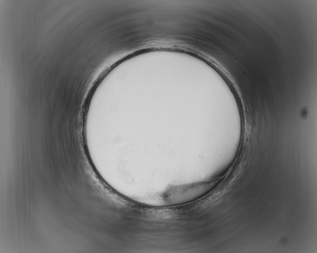 X0000114601045200911301418