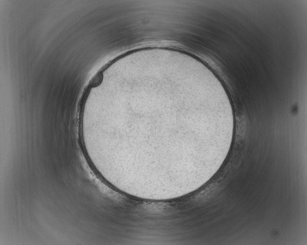 X0000114601046200911301418