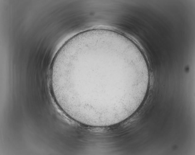 X0000114601048200911301418