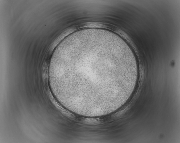 X0000114601049200911301418