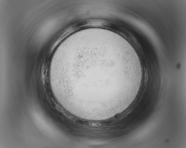 X0000114601052200911301419