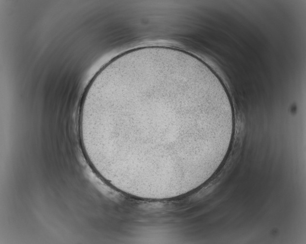 X0000114601054200911301419