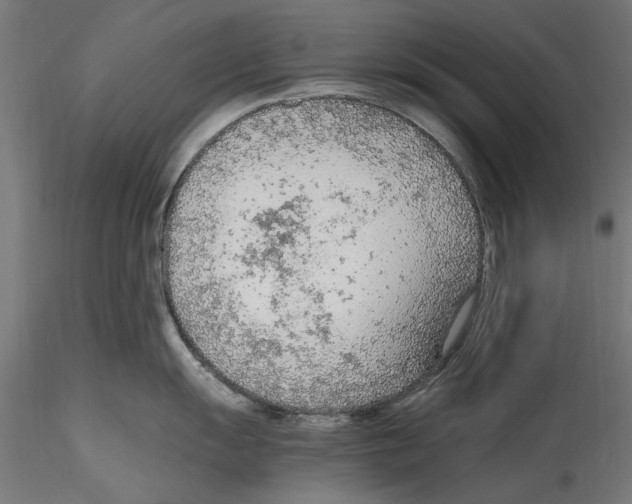 X0000114601055200911301419