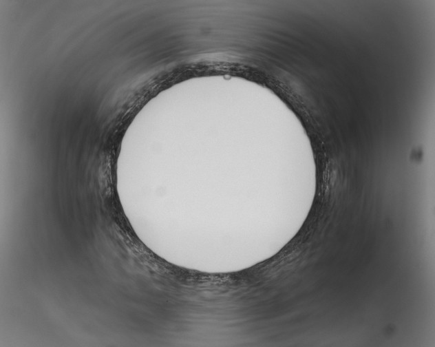 X0000114601062200911301418