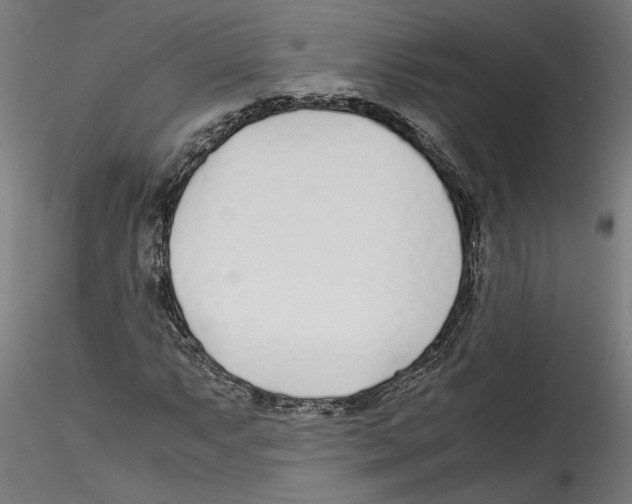 X0000114601063200911301418