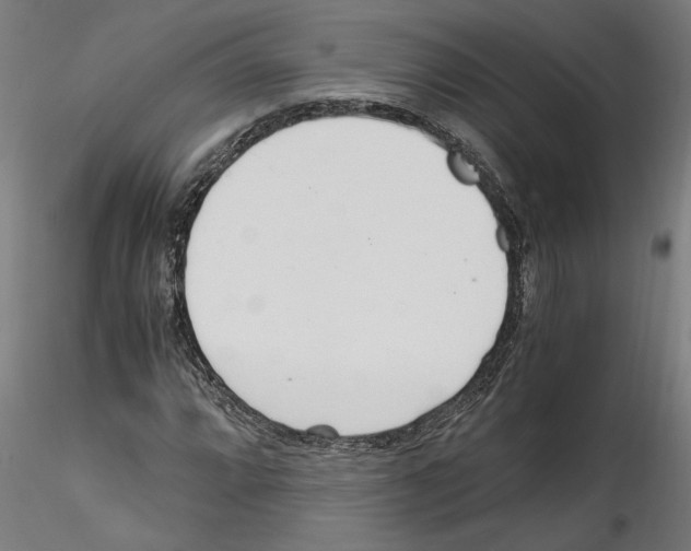 X0000114601064200911301418