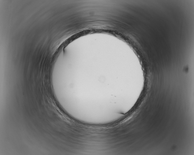 X0000114601065200911301418