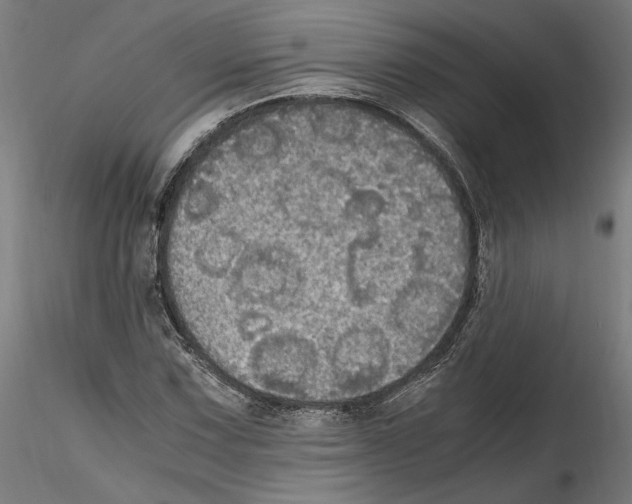 X0000114601067200911301418