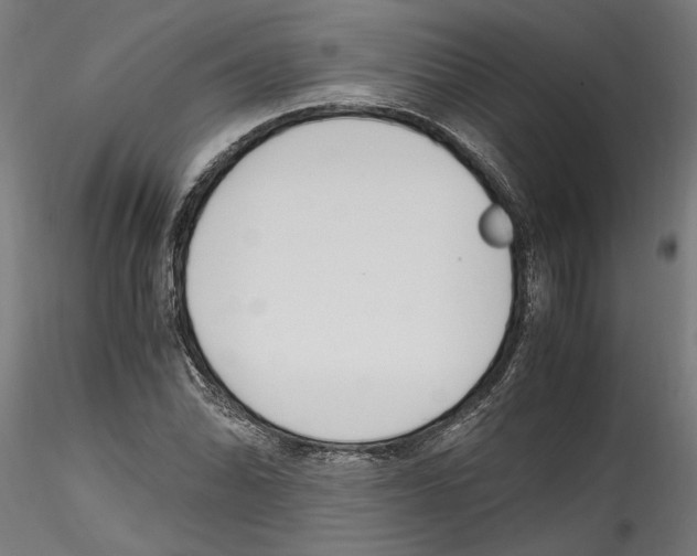 X0000114601070200911301418