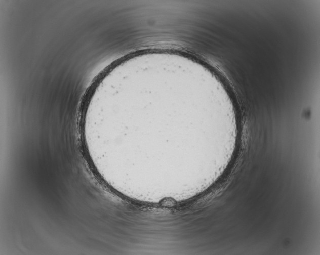 X0000114601071200911301418