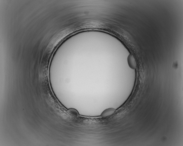 X0000114601073200911301418