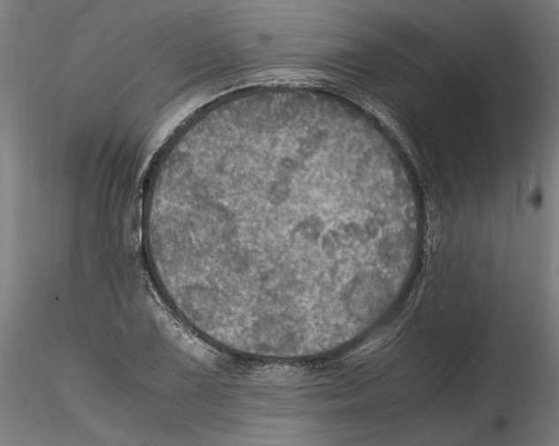 X0000114601075200911301418