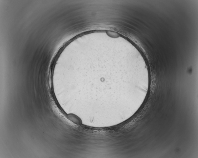 X0000114601080200911301417