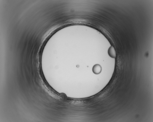 X0000114601082200911301417