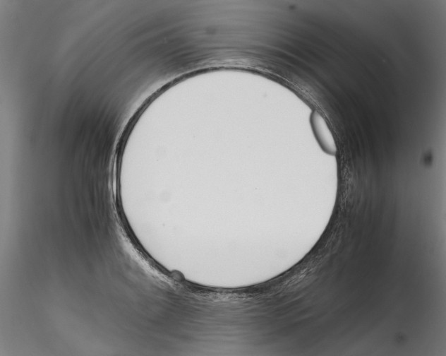 X0000114601084200911301417