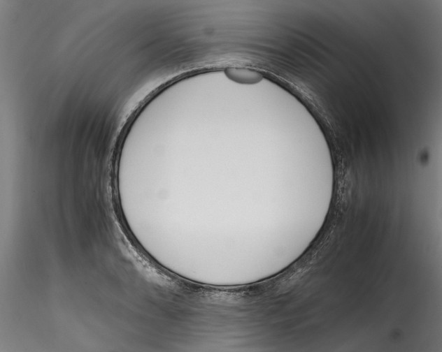 X0000114601086200911301417