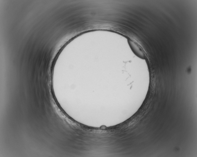 X0000114601088200911301417