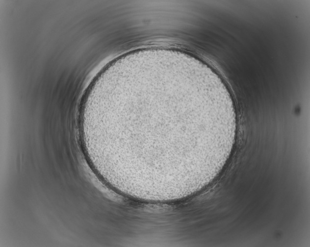 X0000114601091200911301417