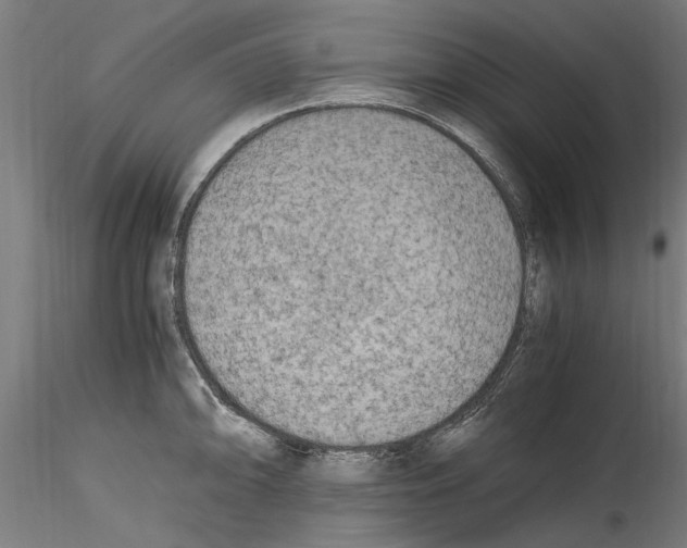 X0000114601094200911301417