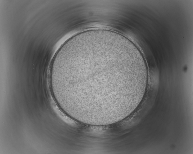 X0000114601098200911301417