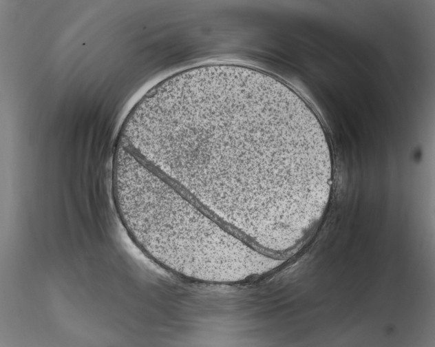 X0000114601100200911301417