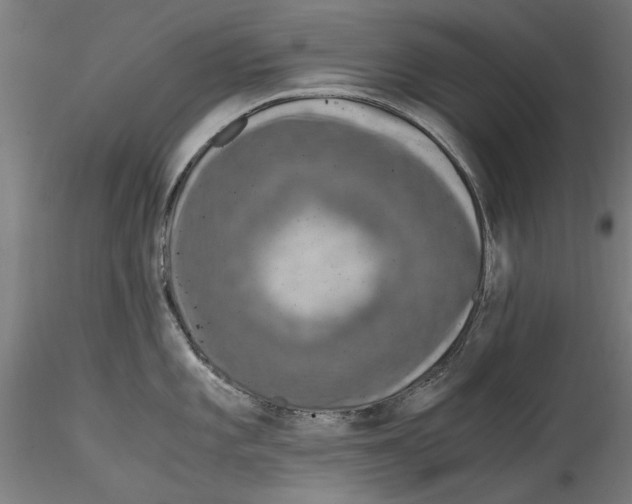 X0000114601101200911301417