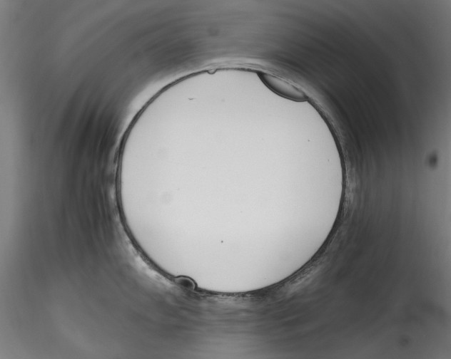 X0000114601102200911301417