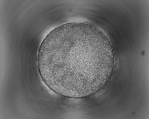 X0000114601103200911301417