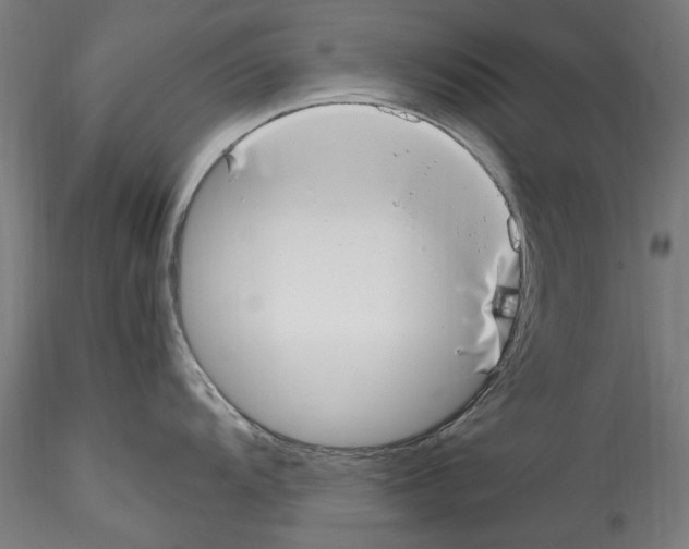 X0000114601104200911301417