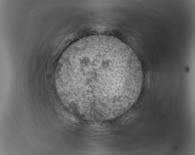 X0000114601105200911301416