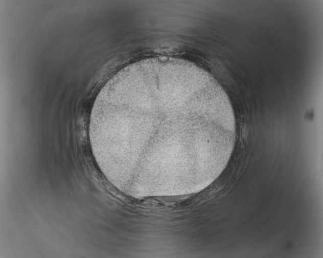 X0000114601106200911301416