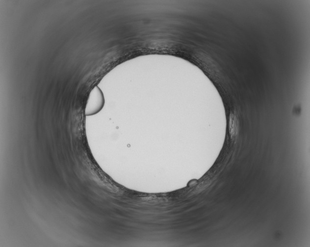 X0000114601107200911301416