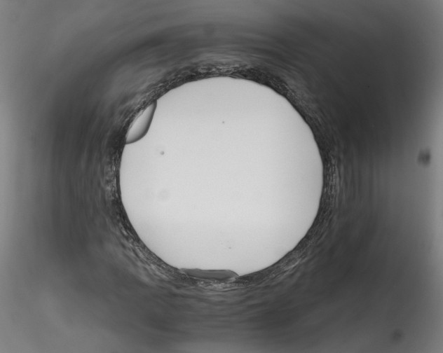 X0000114601109200911301416