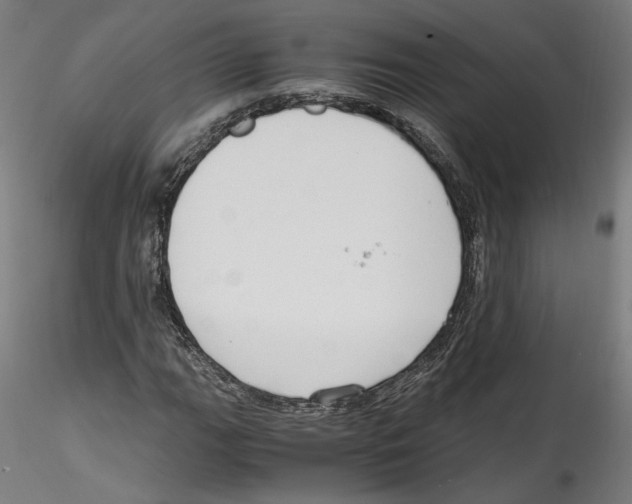 X0000114601111200911301416