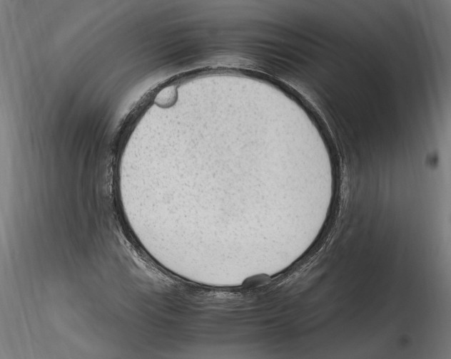 X0000114601115200911301416