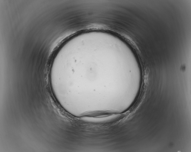 X0000114601117200911301416