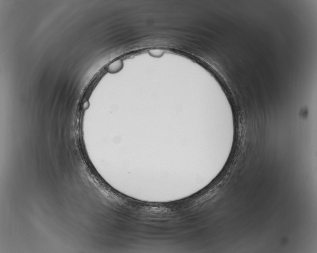 X0000114601119200911301416