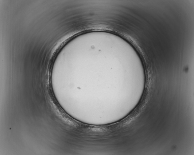 X0000114601125200911301416