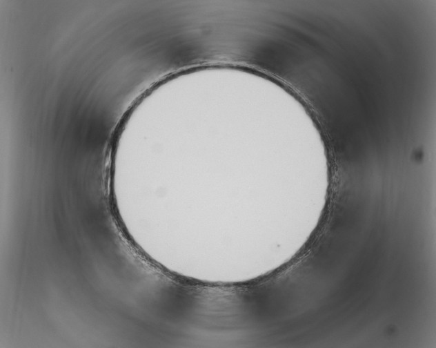 X0000114601126200911301416