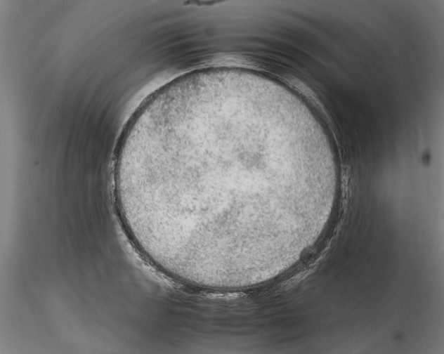 X0000114601133200911301417