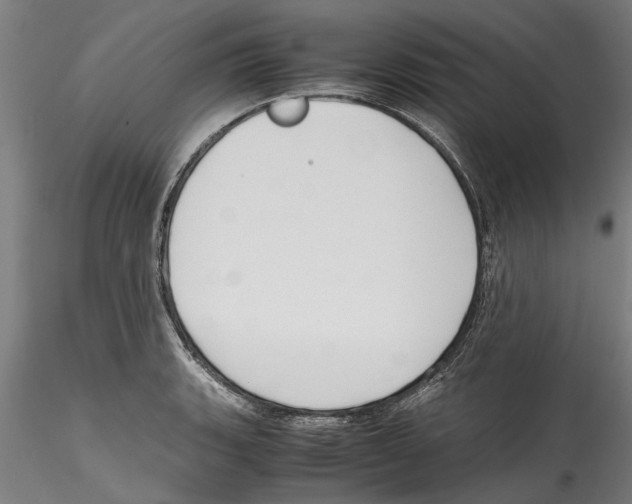 X0000114601135200911301417