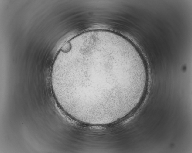 X0000114601137200911301417