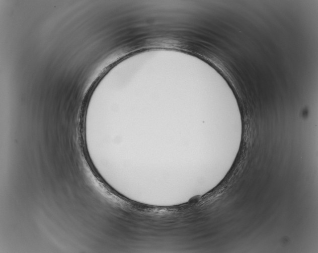 X0000114601139200911301417