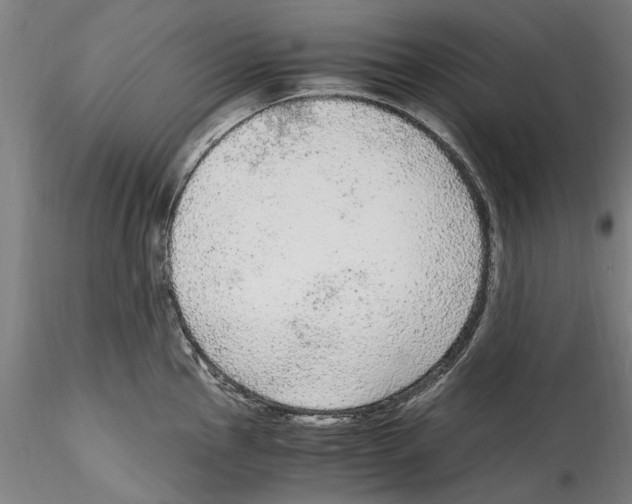 X0000114601145200911301417