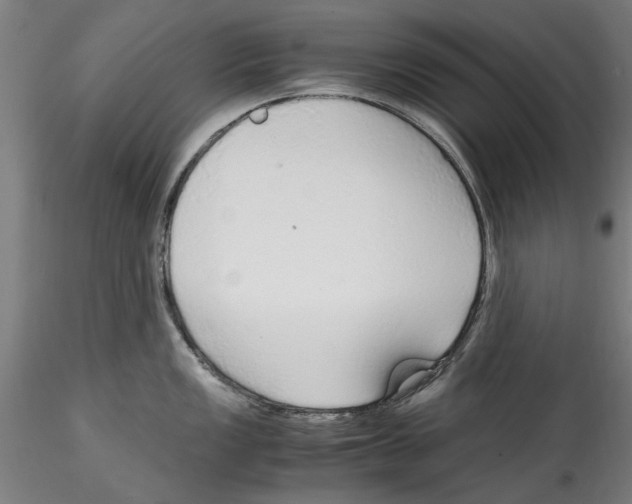 X0000114601149200911301417