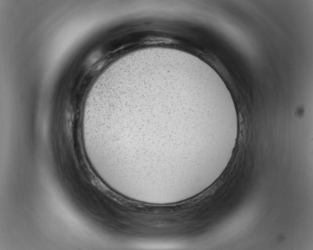 X0000114601151200911301417