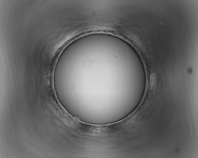 X0000114601165200911301416