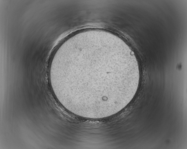 X0000114601168200911301416